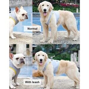 Cooling Vest for Dogs - Breathable Dog Cooling Vest with Adjustable Harness XL